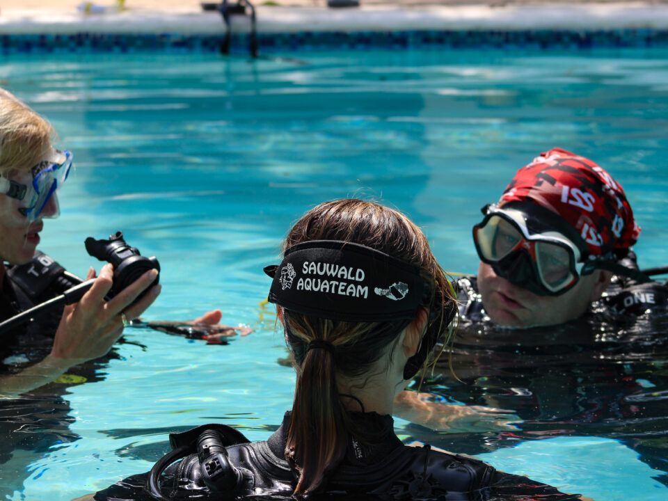 Tauchen Open Water Diver