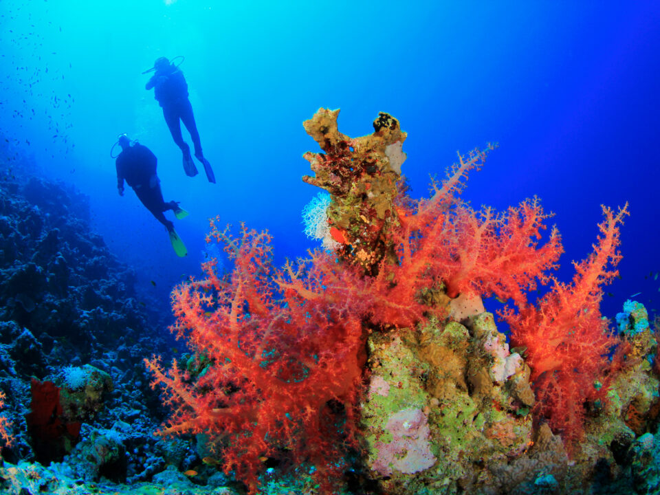 Reef_RedSea