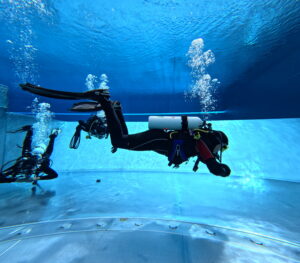 Perfekt Tarieren Spezialkurs