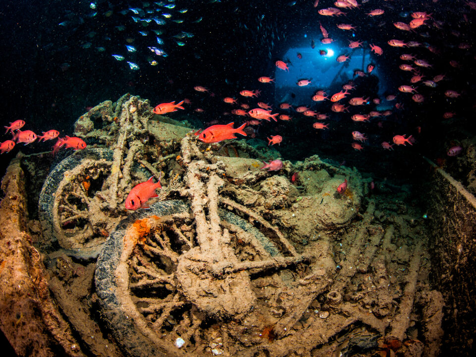 AS_Thistlegorm